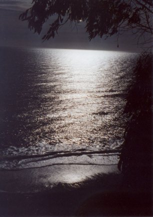 day-night-ocean2.jpg